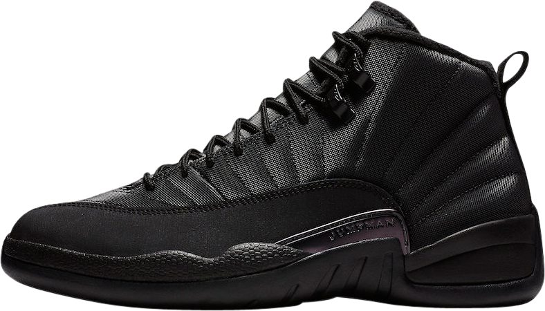 Air Jordan 12 Winterized Black