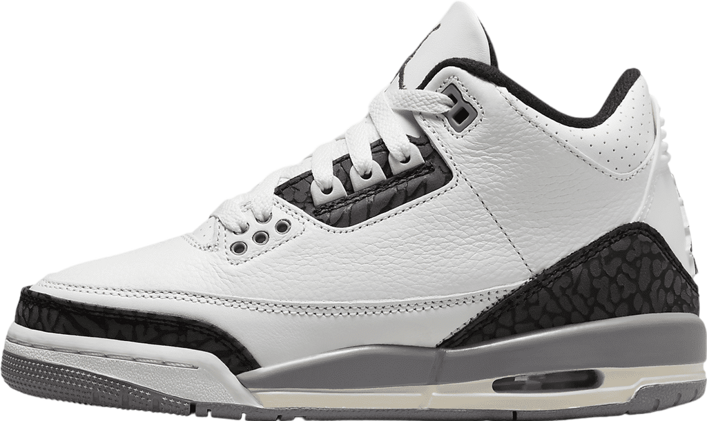 Air Jordan 3 GS Cement Grey