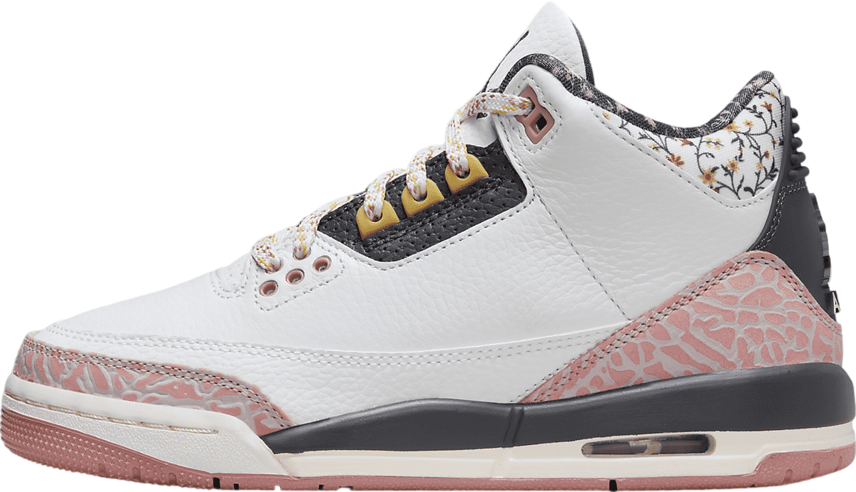 Air Jordan 3 GS Red Stardust