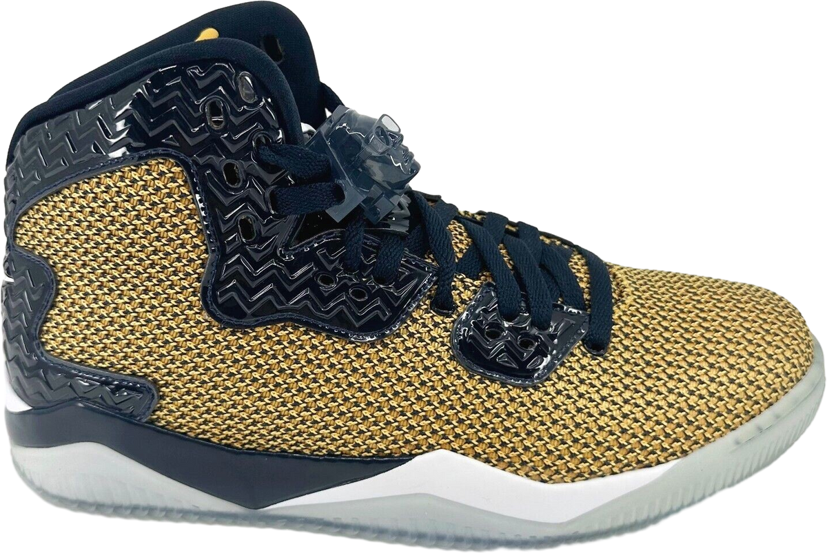 Air Jordan Air Spike Forty Dunk From Above