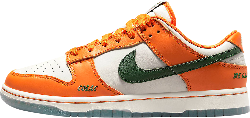 Florida A&M x Nike Dunk Low