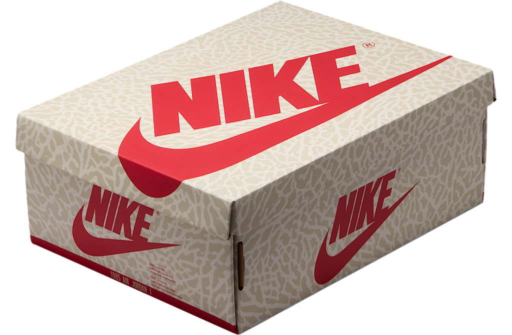 Air Jordan 1 High OG GS Sail / Pale Ivory - Image 9