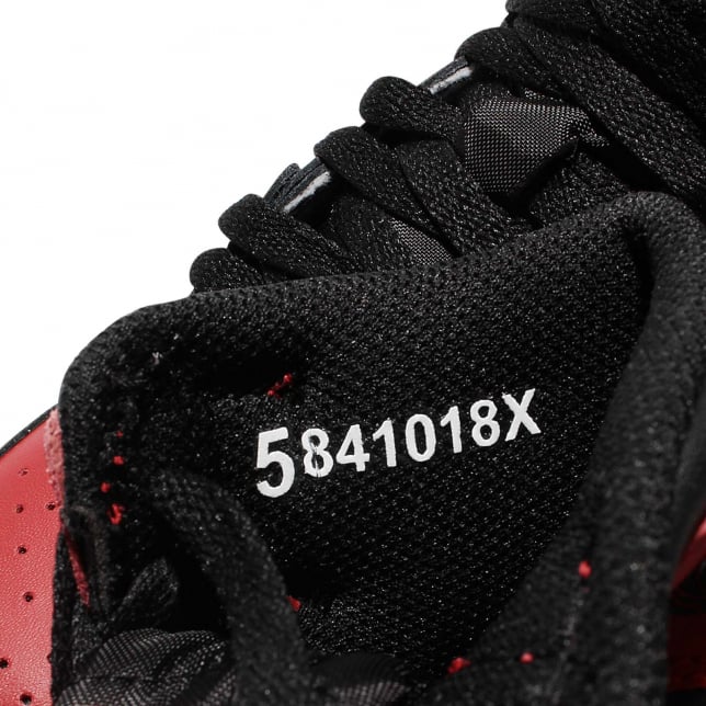 Air Jordan 1 Retro High OG GS Bred 2016 - Image 6