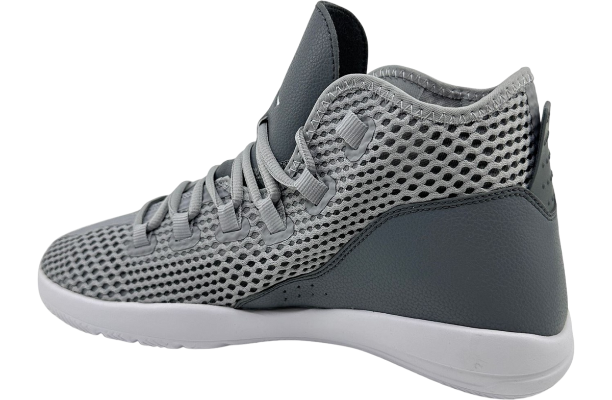 Air Jordan Reveal Wolf Grey - Image 3
