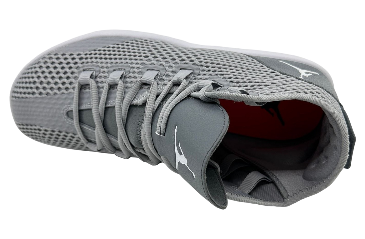 Air Jordan Reveal Wolf Grey - Image 4