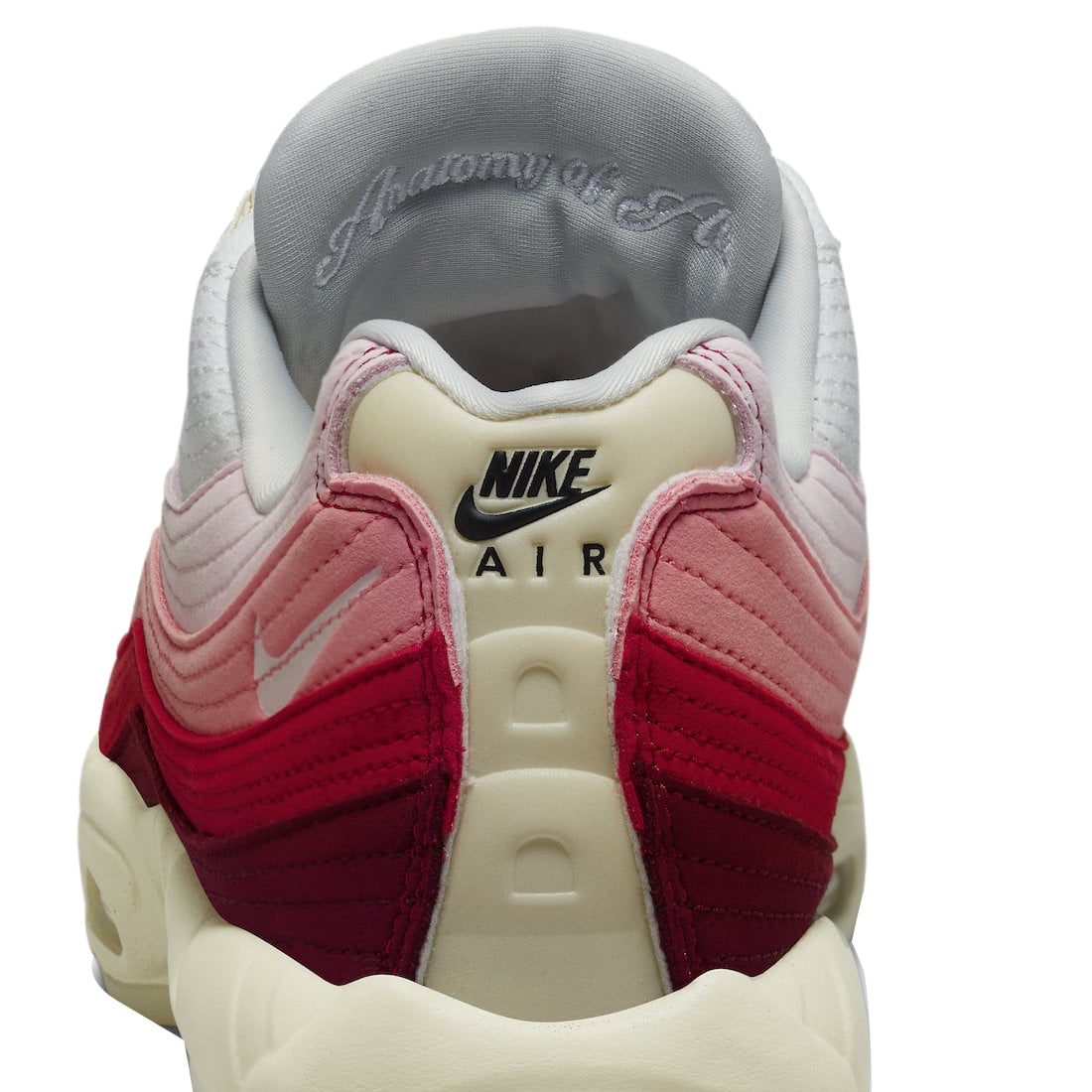 Nike Air Max 95 Anatomy of Air - Image 7