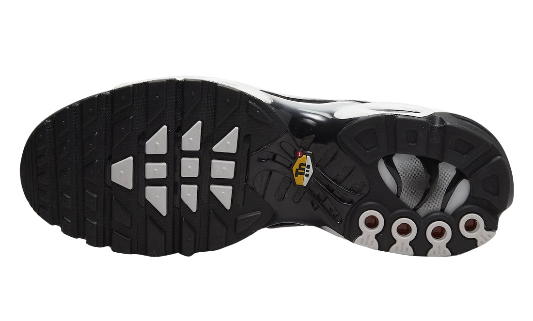 Nike Air Max Plus Black White Gradient - Image 6