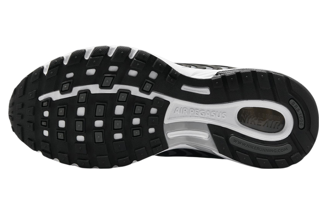 Nike Air Pegasus 2k5 Black / Metallic Silver / White - Image 3
