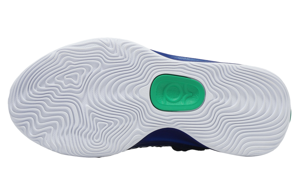 Nike KD18 PRM EP Intl Blue / Multi - Image 4