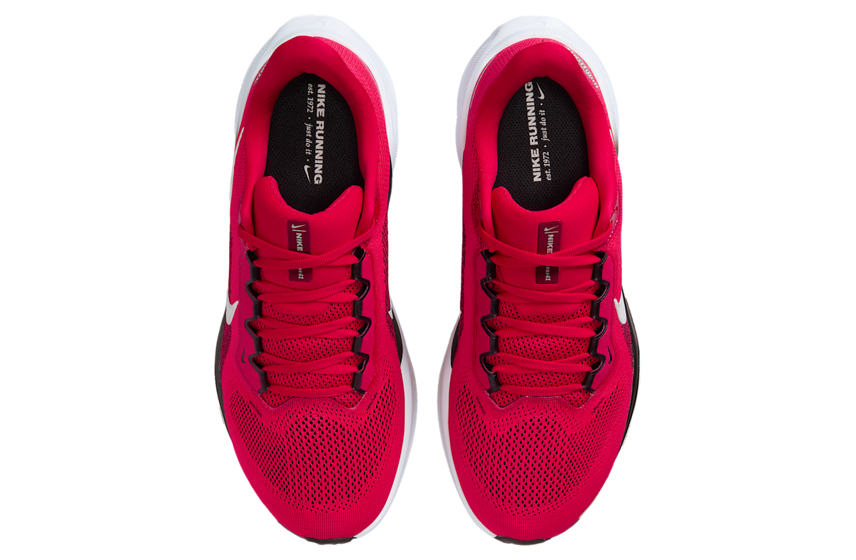 Nike Ohio State Pegasus 41 University Red / Black - Image 4