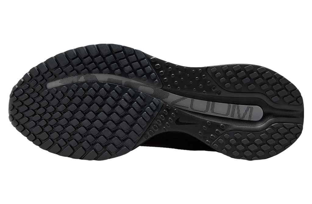 Nike Pegasus Premium Black / Metallic Silver / White - Image 8