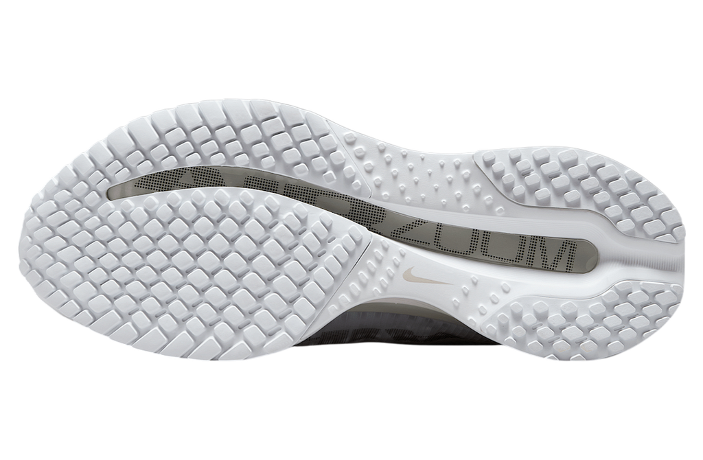 Nike Pegasus Premium White / Metallic Silver - Image 6