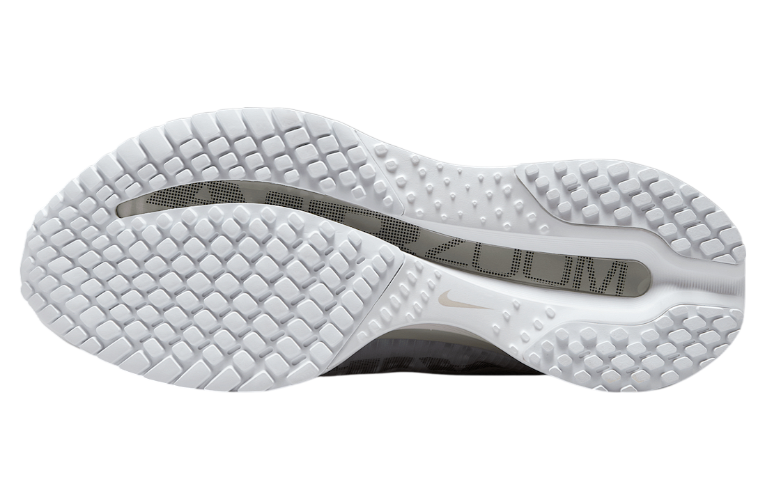 Nike Pegasus Premium White / Metallic Silver - Image 6