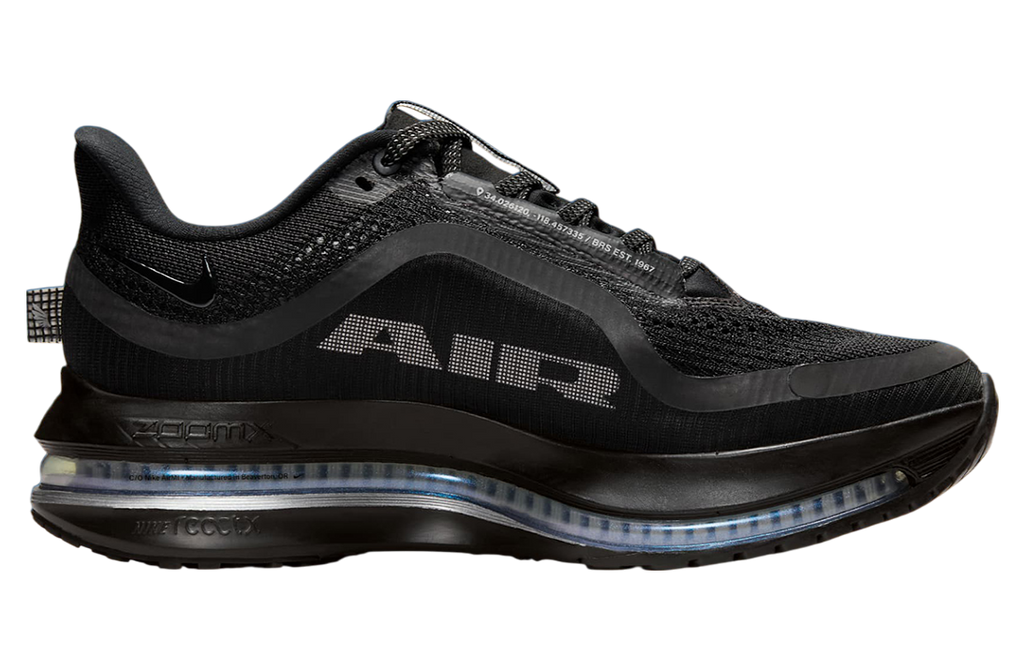 Nike Pegasus Premium WMNS Black / Metallic Silver - Image 2