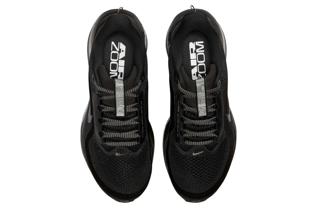 Nike Pegasus Premium WMNS Black / Metallic Silver - Image 3