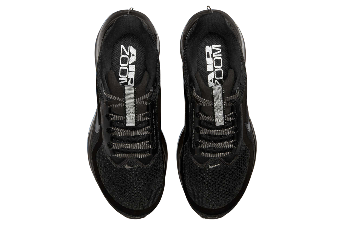 Nike Pegasus Premium WMNS Black / Metallic Silver - Image 3