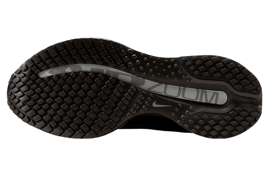 Nike Pegasus Premium WMNS Black / Metallic Silver - Image 5