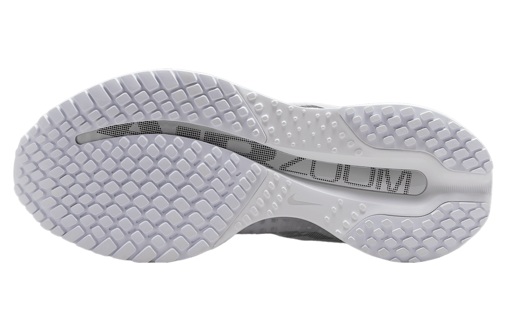 Nike Pegasus Premium WMNS White / Metallic Silver - Image 2