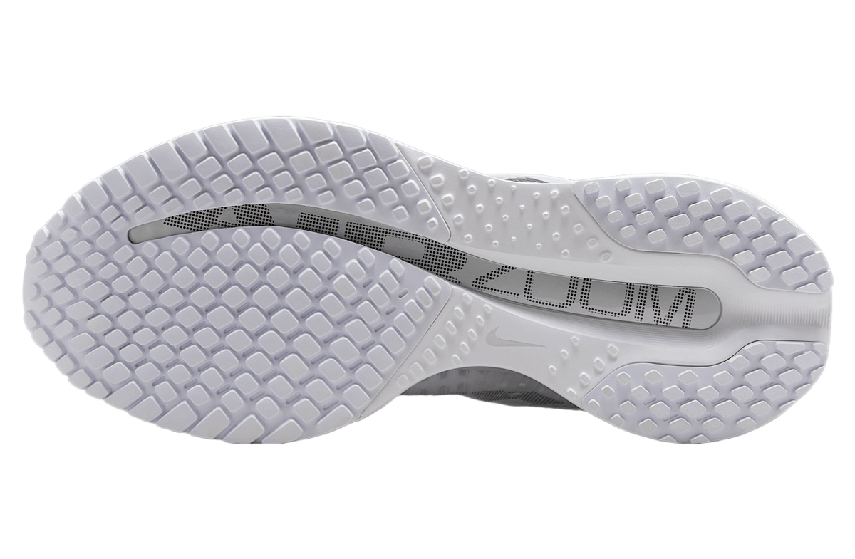 Nike Pegasus Premium WMNS White / Metallic Silver - Image 2