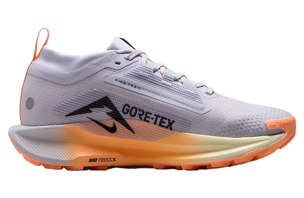 Nike Pegasus Trail 5 Gore-Tex WMNS Ghost / Malt - Image 3