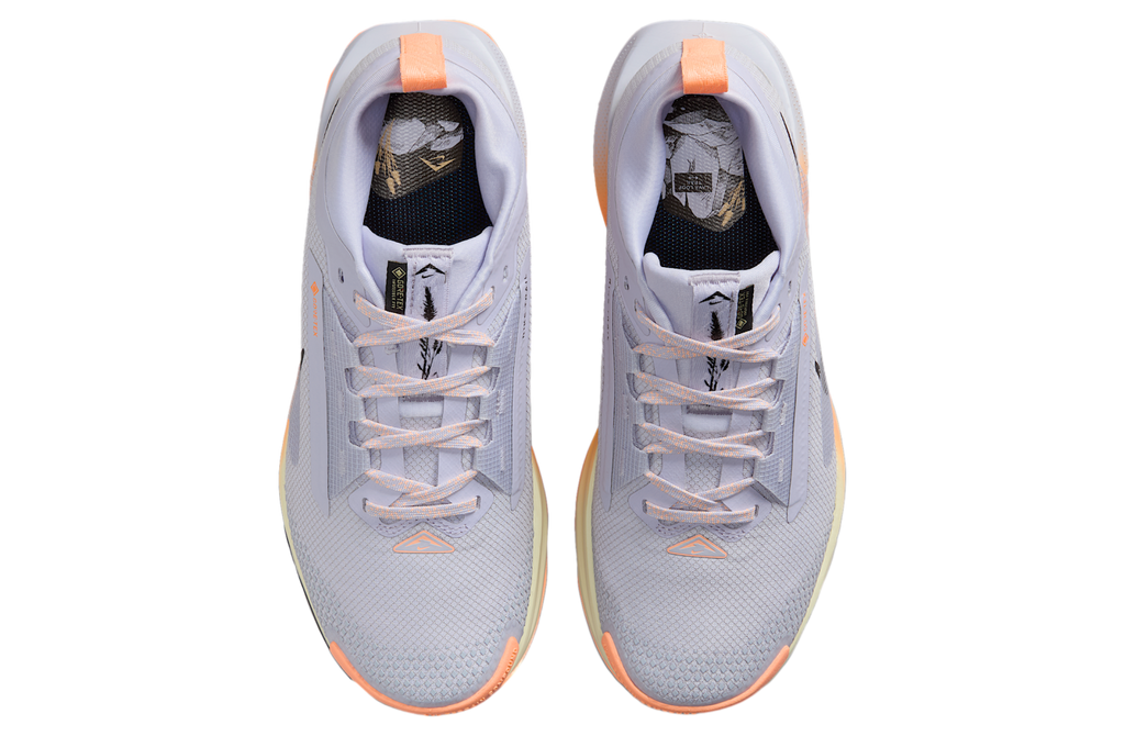 Nike Pegasus Trail 5 Gore-Tex WMNS Ghost / Malt - Image 4
