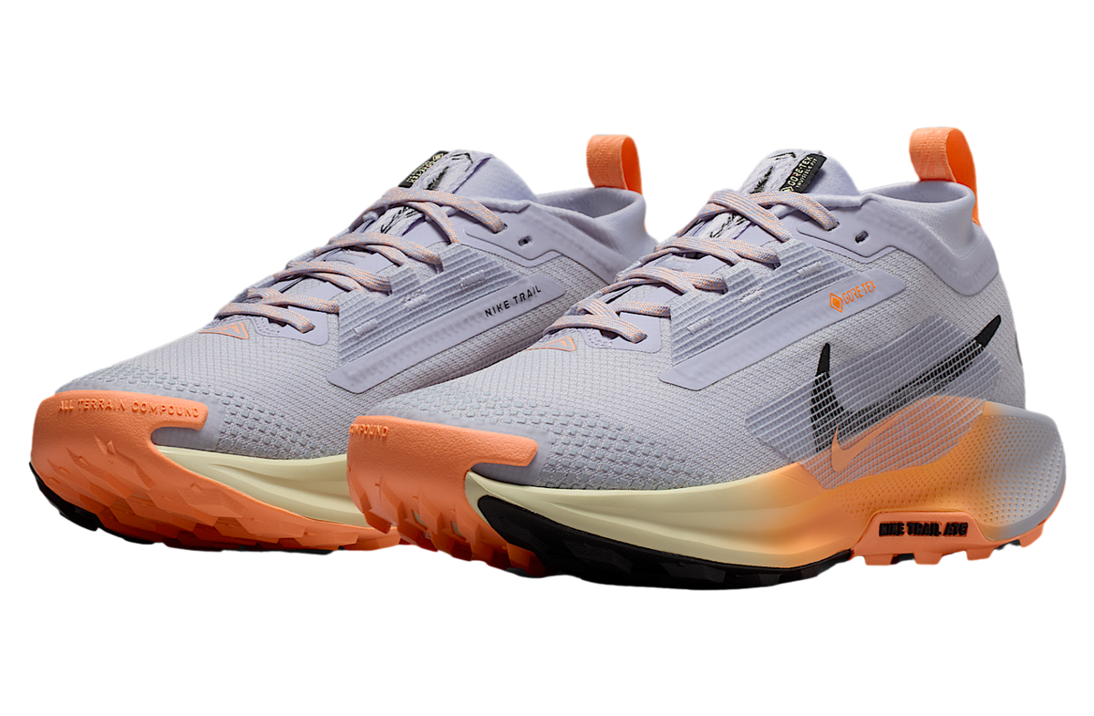 Nike Pegasus Trail 5 Gore-Tex WMNS Ghost / Malt - Image 5