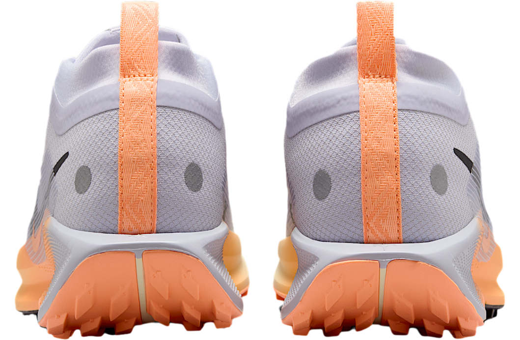 Nike Pegasus Trail 5 Gore-Tex WMNS Ghost / Malt - Image 6