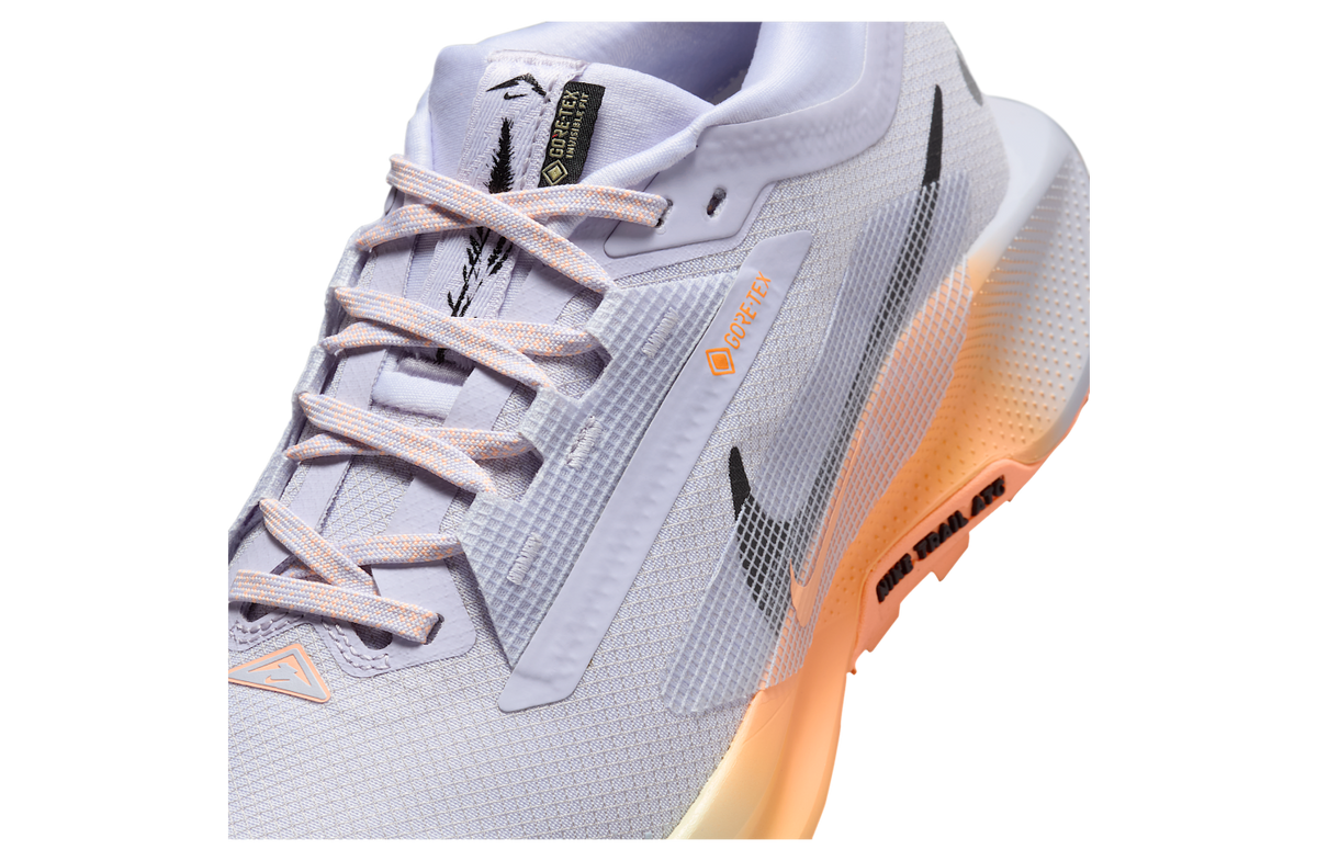 Nike Pegasus Trail 5 Gore-Tex WMNS Ghost / Malt - Image 7