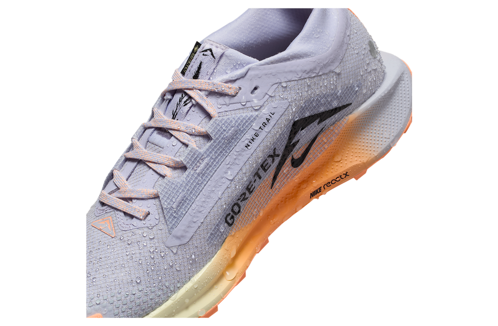 Nike Pegasus Trail 5 Gore-Tex WMNS Ghost / Malt - Image 9