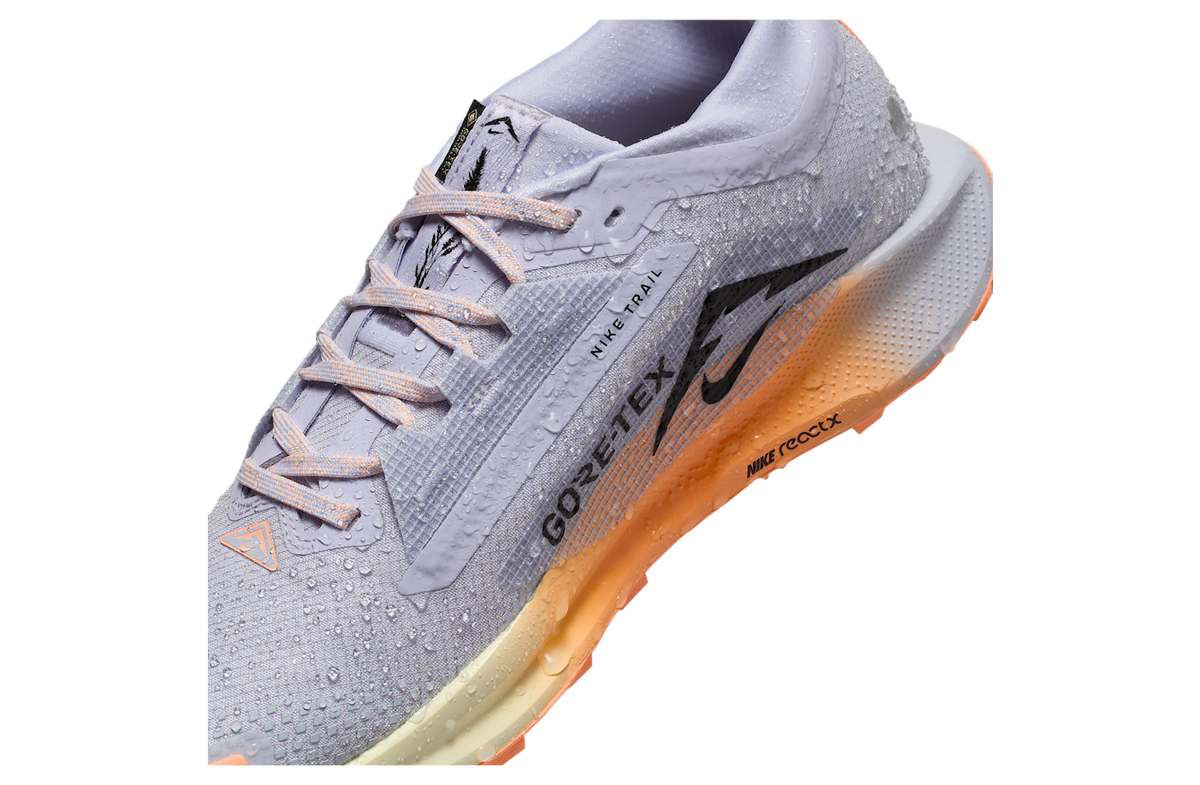 Nike Pegasus Trail 5 Gore-Tex WMNS Ghost / Malt - Image 9