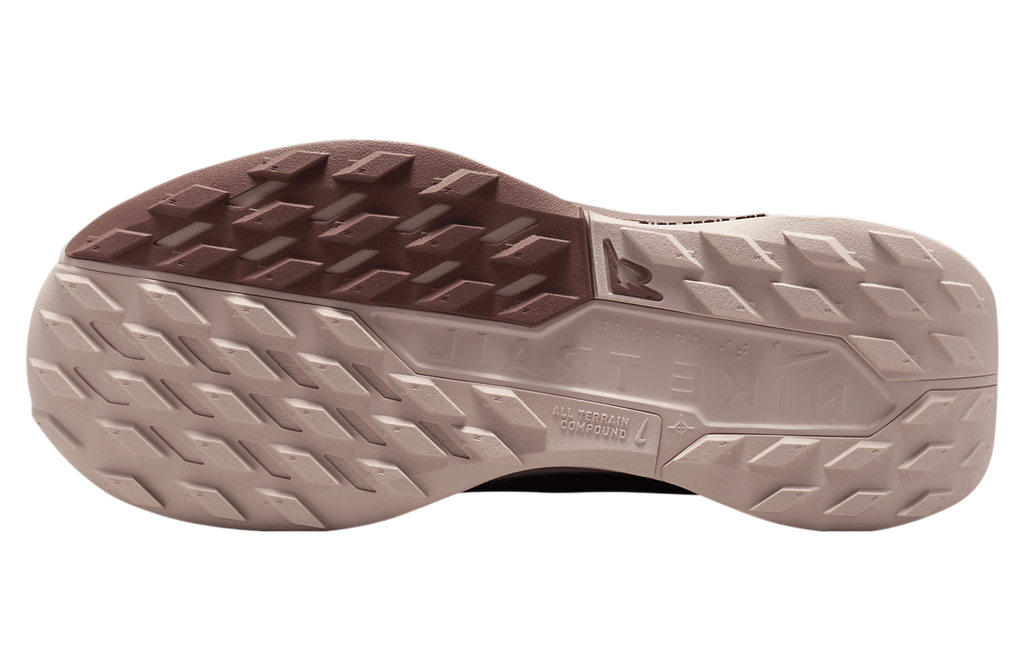 Nike Pegasus Trail 5 Gore-Tex WMNS Pink Oxford / Red Sepia - Image 2