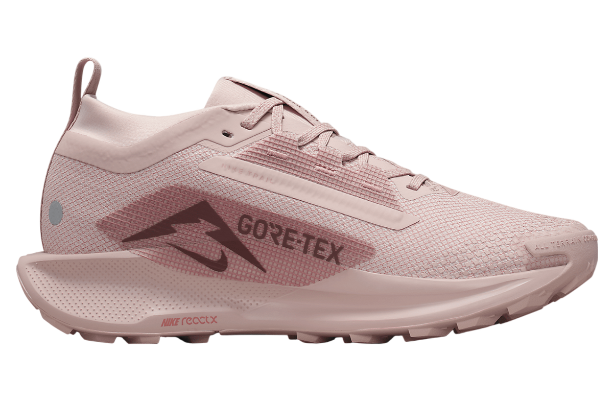 Nike Pegasus Trail 5 Gore-Tex WMNS Pink Oxford / Red Sepia - Image 3