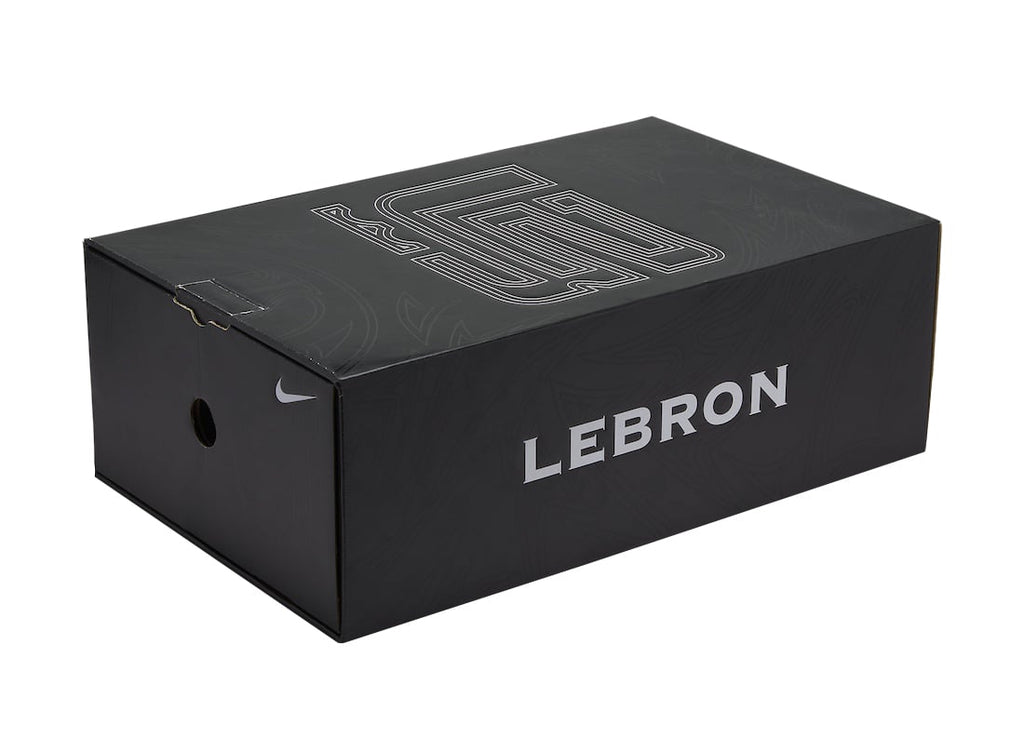 Nike Zoom LeBron 2 Beast - Image 10