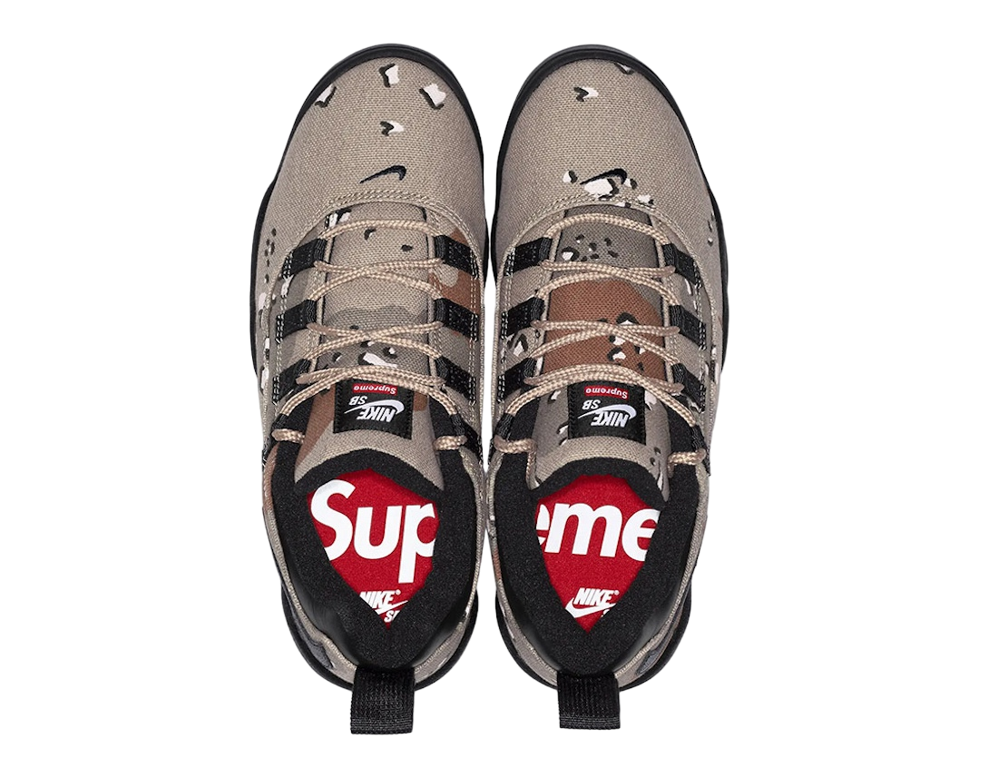 Supreme x Nike SB Darwin Low Camo - Image 3