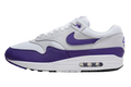 Nike Air Max 1 Field Purple