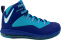 Nike Air Max Darwin 360 Deep Royal Blue