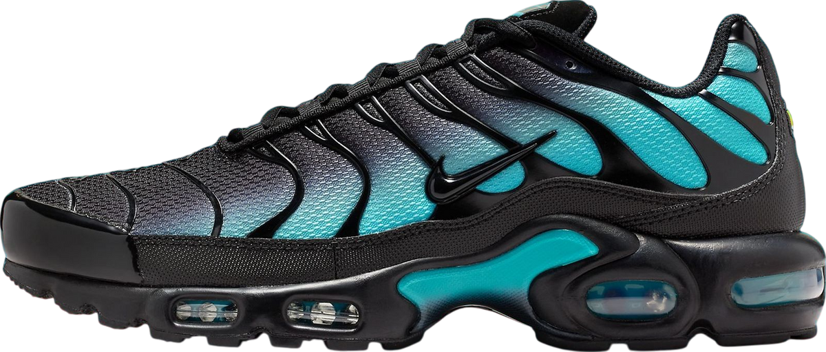 Nike Air Max Plus Black / Aurora Green