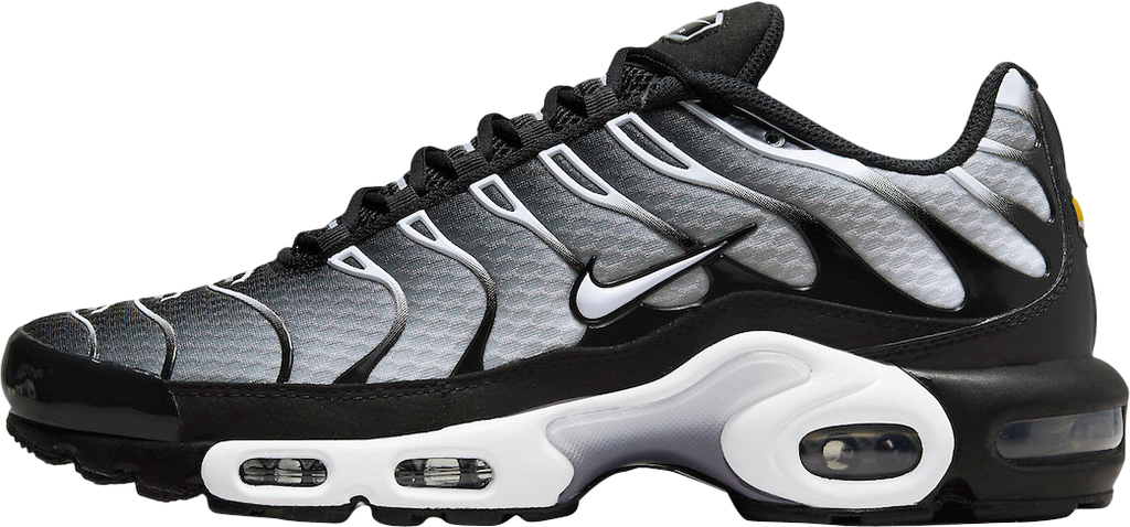 Nike Air Max Plus Black White Gradient