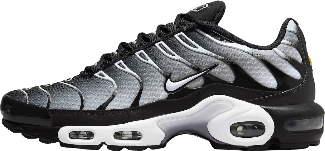 Nike Air Max Plus Black White Gradient