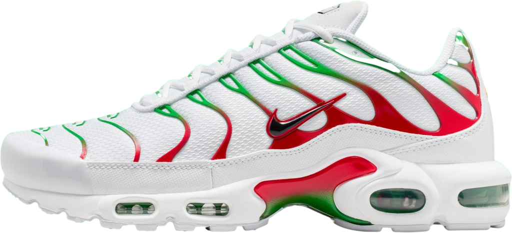Nike Air Max Plus Italy