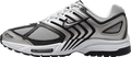 Nike Air Pegasus 2005 Metallic Silver / White