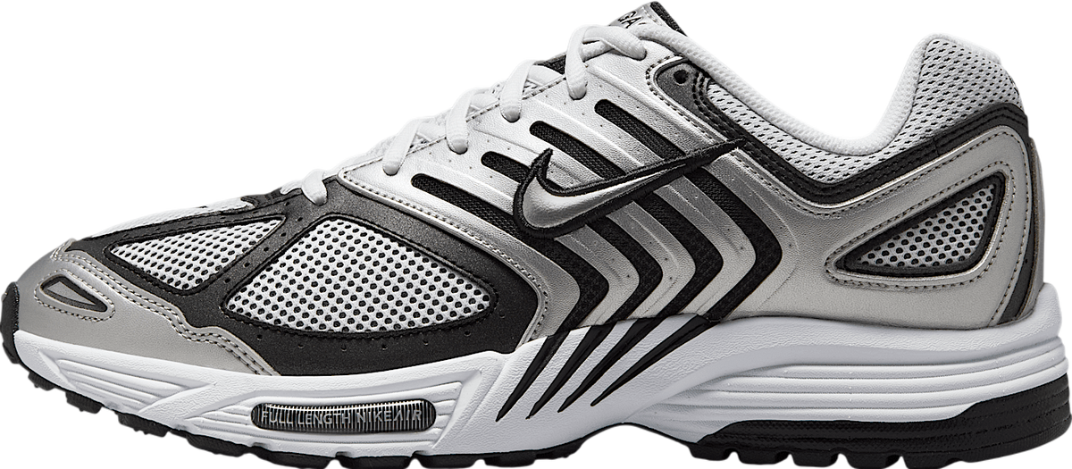 Nike Air Pegasus 2005 Metallic Silver / White