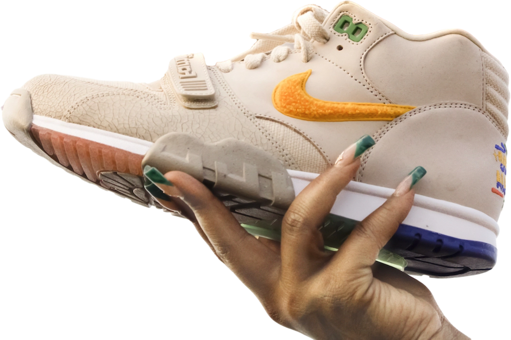 Nike Air Trainer 1 La Familia