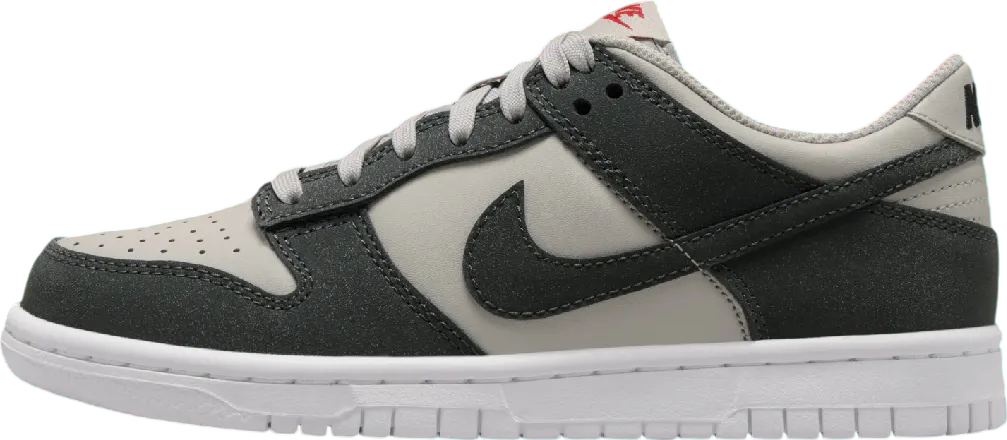 Nike Dunk Low GS Anthracite / Light Iron Ore