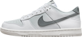 Nike Dunk Low GS Grey White Reflective Swoosh