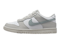 Nike Dunk Low GS Light Silver Phantom