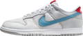 Nike Dunk Low Silver Surfer
