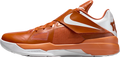 Nike KD 4 Texas