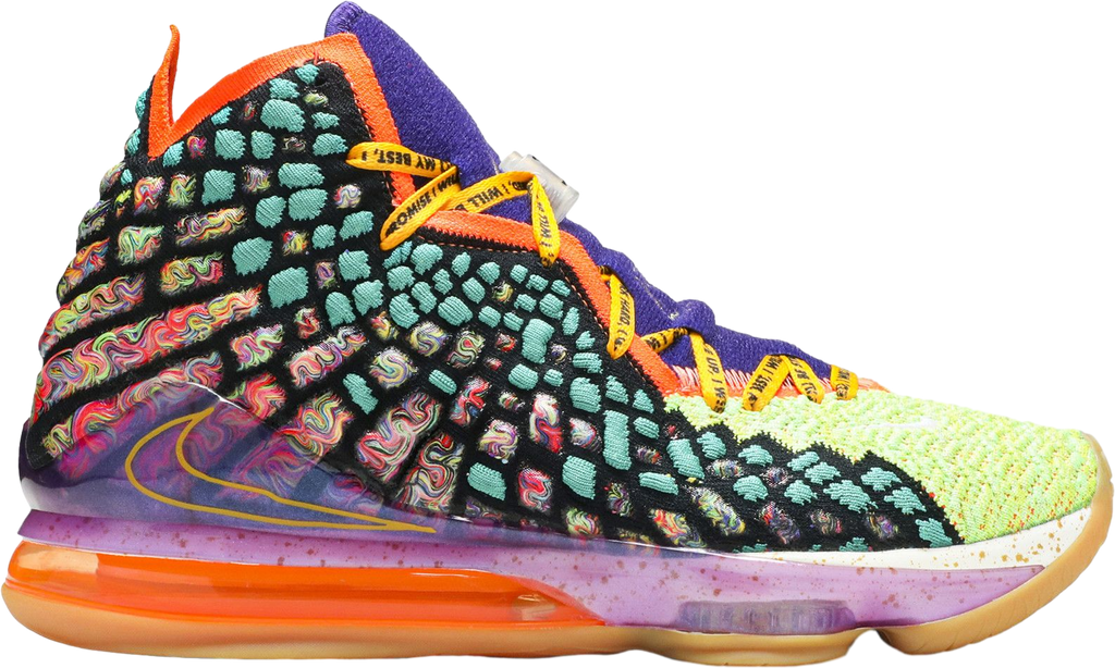 Nike Lebron 17 What The