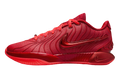 Nike LeBron 21 James Gang